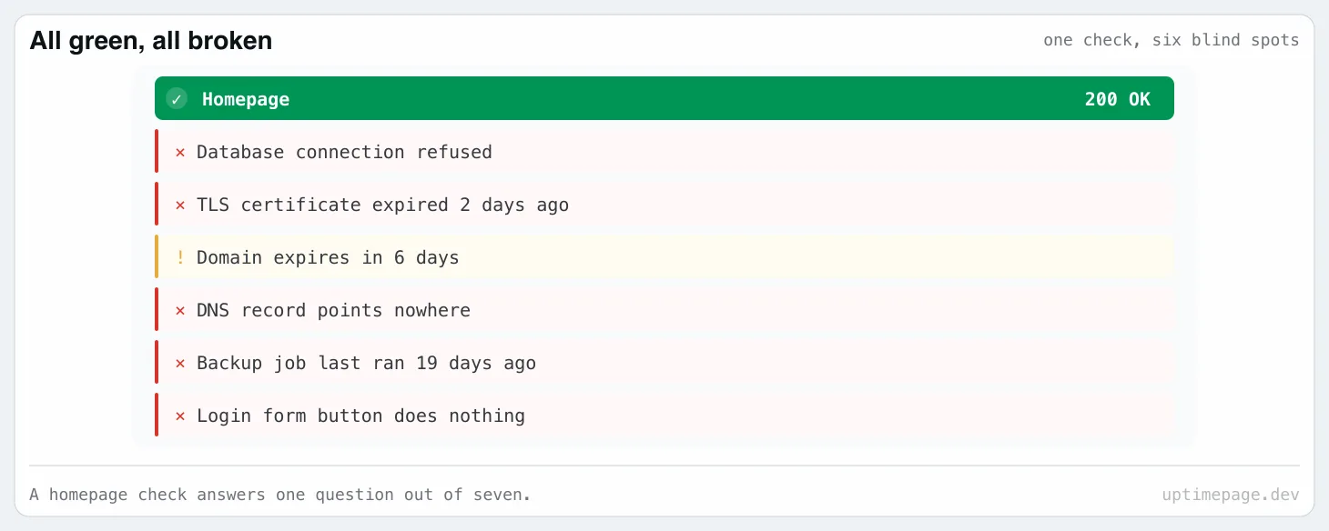 A green homepage check above six failing checks for the database, certificate, domain, DNS, backup job and login form.